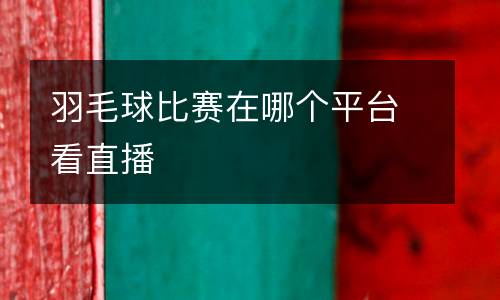 羽毛球比賽在哪個(gè)平臺(tái)看直播