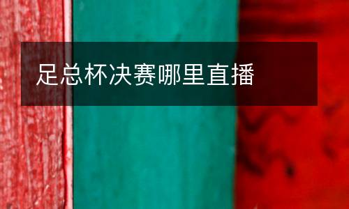 足總杯決賽哪里直播