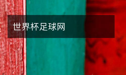 世界杯足球網(wǎng)