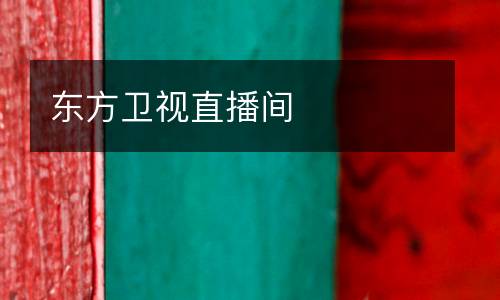 東方衛(wèi)視直播間