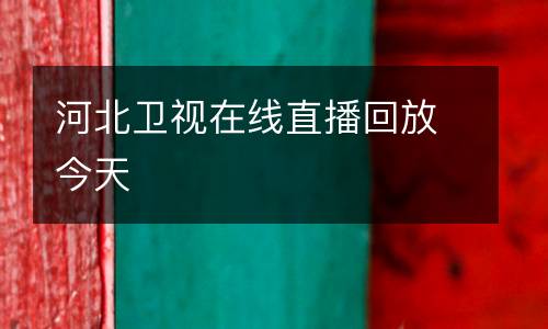 河北衛(wèi)視在線直播回放今天