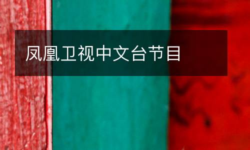 鳳凰衛(wèi)視中文臺節(jié)目