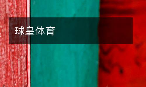 球皇體育