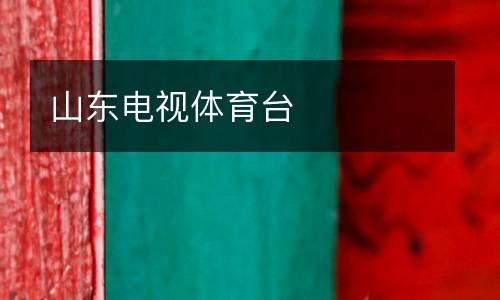 山東電視體育臺(tái)