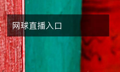 網(wǎng)球直播入口