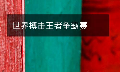 世界搏擊王者爭(zhēng)霸賽