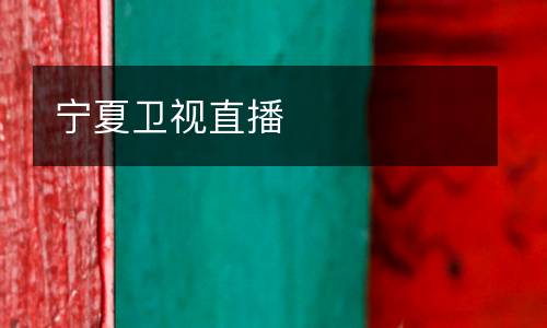 寧夏衛(wèi)視直播